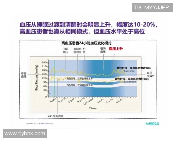 北京羽毛球队耐力对比深度解析及训练策略探讨 北京羽毛球队耐力对比深度解析及训练策略探讨