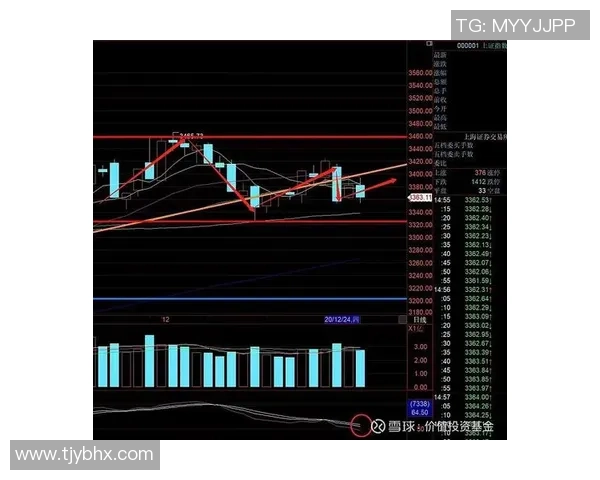 成都羽毛球队在精英赛中的技术表现分析与点评 成都羽毛球队在精英赛中的技术表现分析与点评