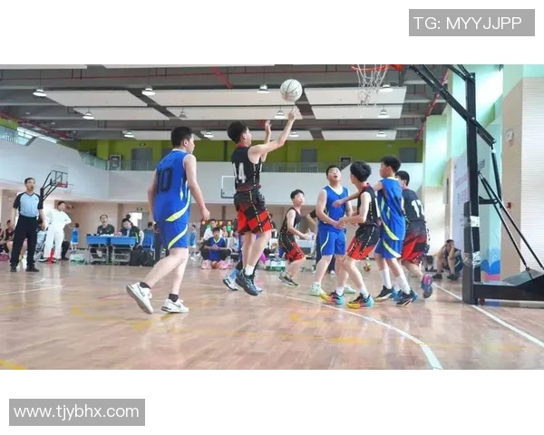 篮球之道：深入探讨杭州篮球队的团队协作与默契配合