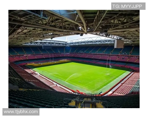 法国足球明星内的辉煌历程与成就解析，带你走进绿茵场上的传奇故事